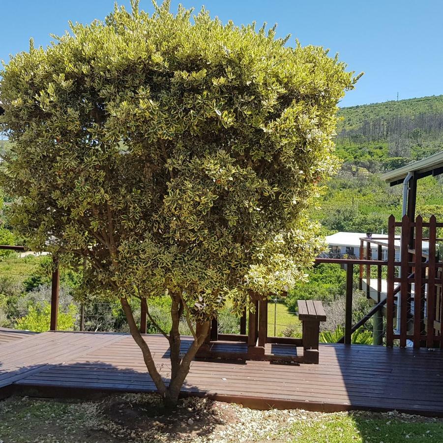 The Cabin@103 Knysna Apartamento Brenton-on-Sea Exterior foto